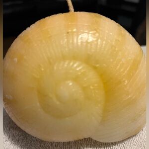 Hand Crafted Large Cream Tan Conch Shell Candle